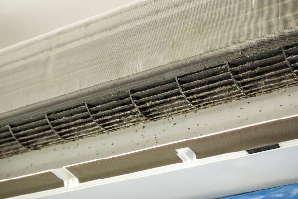 Best HVAC Duct Inspection Services  in Oakland, MD